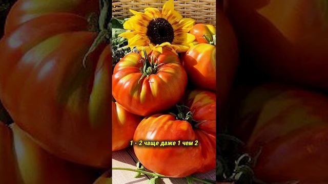 ЭКЗОТИЧЕСКИЕ КРУПНЫЕ ТОМАТЫ