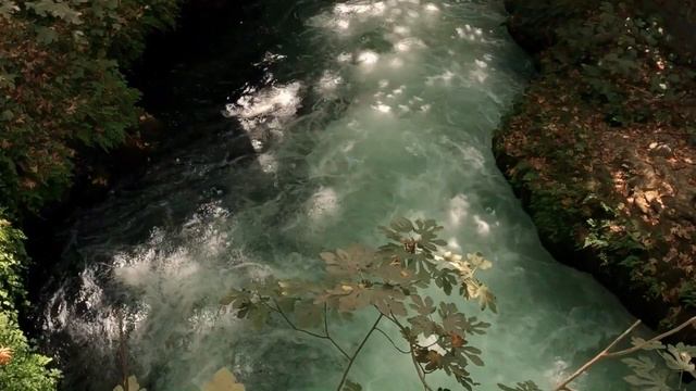 music therapy 4brain/musichealth#temporelax #bitwig ambient #steve roach#robert rich mathias grasso