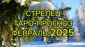 СТРЕЛЕЦ/ТАРО-ПРОГНОЗ/ФЕВРАЛЬ 2025