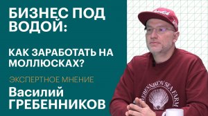 Как сделать бизнес на морских моллюсках и не прогореть | Экспертное мнение