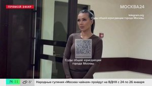 Троицкий суд Москвы продлил домашний арест блогеру Лерчек