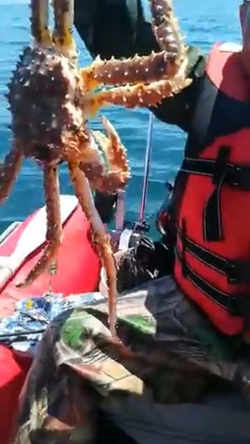 Хитрый краб часть вторая!