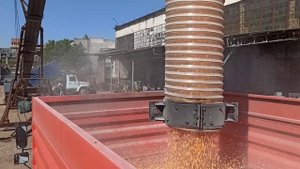 Разгрузка зерна из транспорта с одновременной погрузкой в другой транспорт.