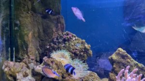 Океанариум Екатеринбург