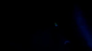 Обзор МАН ТГС 26.400