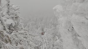 Выезд на Шунут 3 января 2025. Танки 300 в деле.