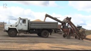 Местные жители (08.10.2019)