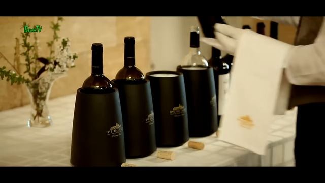 МОЛДОВА  ПОЛНЫЙ ОБЗОР СТРАНЫ