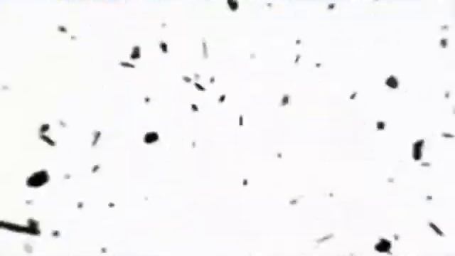 Fehlmex смотреть онлайн