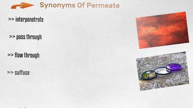 Permeate - Meaning Pronunciation Examples and Synonyms
