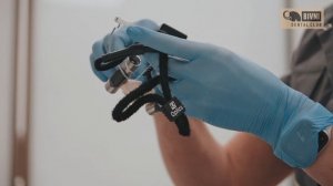 Стоматология Бивни (Green X)