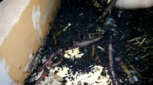 Чай...Кофе....Потанцуем???!!! Часть 2. Эксперимент удался!!!