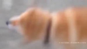 Лучшее в CUBE Сентябрь