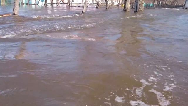 Ишим 14.04.2016 смотреть онлайн