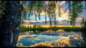 А  Фет  Одним толчком согнать ладью живую #философскаялирика #стихиопоэте #поэты19века