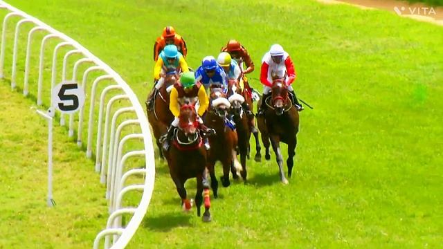 #BANGALORE - 11 Jun 2023 | The Speaker's Cup | Race No. 2 | GALACTICAL with N Arvind Kumar. смотреть онлайн