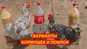 Куриные кормушки поилки варианты (4)