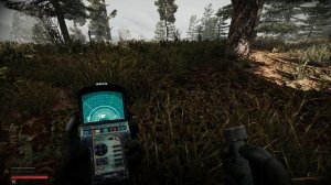 Аномалия Боль