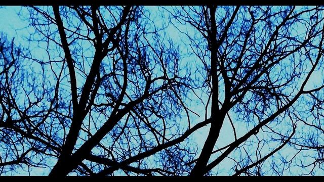 И  Бродский  Ночь, одержимая белизной #стихиолюбви #поэты20века
