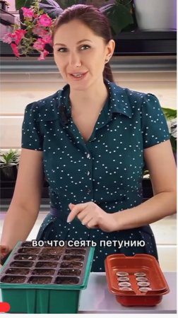 Плюсы и минусы посева в грунт в горшочках✅