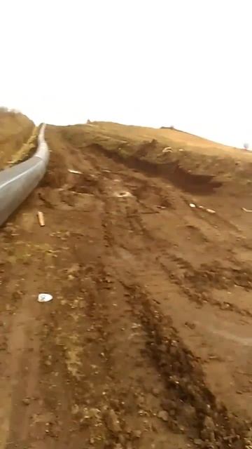 #Ученье выведет в свет! смотреть онлайн