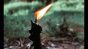 Кайсын Кулиев  Хлеб и книга #стихиоценностях #поэты20века #философскаялирика