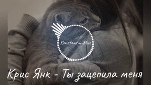 Клип песни "Крис Янк - Ты зацепила меня"