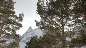 6650237-uhd_4096_2160_30fps