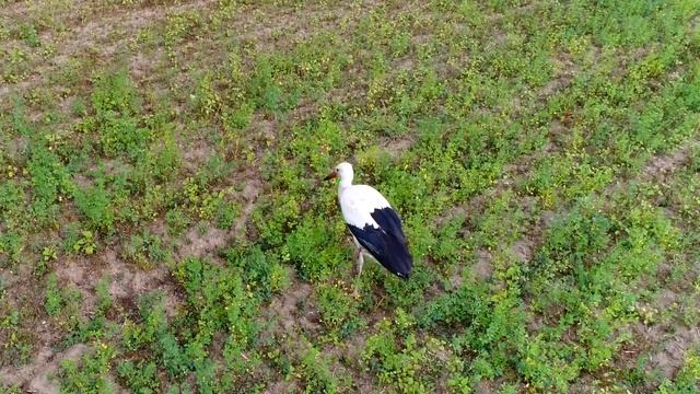 Болгария 2017 смотреть онлайн
