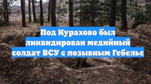 Под Курахово был ликвидирован медийный солдат ВСУ с позывным Гебельс