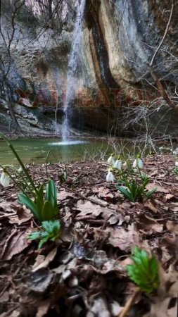 КРЫМ | Прогулка к водопаду | 11 марта 2023 года