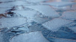 6916673-hd_1920_1080_24fps