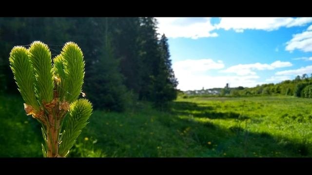В Шекспир  Сонет 13  Не изменяйся, будь самим собой #стихиочеловеке #зарубежнаялитература