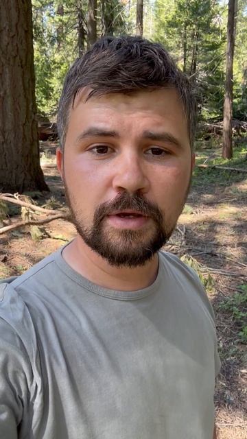 Вася Обломов - Лучше синица в руках, чем... смотреть онлайн