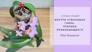 Важность вентиляции воздуха‼️🌬️при высокой влажности и теплом воздухе.