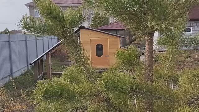 Мини-курятник на 5-7 курочек своими руками смотреть онлайн