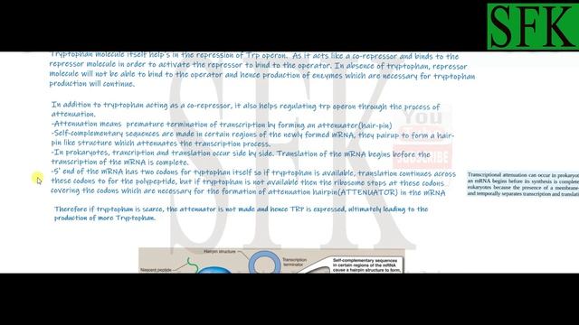 Regulation of Gene Expression lec 4 (TRP OPERON) смотреть онлайн