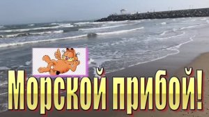 Отдых в Дагестане на Каспийском море зимой.