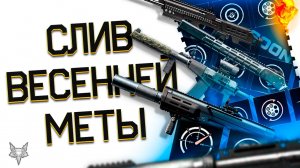 АНОНС И СЛИВ ТТХ ВЕСЕННЕЙ МЕТЫ 2025!КАК АПНУТ АС ВАЛ,САЙГУ 12С,АМБ 17,MARLIN И MCMILLAN!ТОП WARFACE!