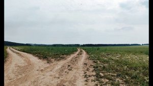 Н  Некрасов  Поэт и гражданин #гражданскаялирика #поэты19века