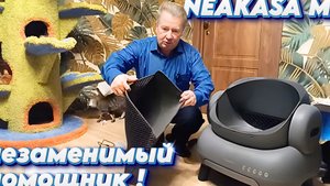 NEAKASA M1 незаменимый помощник.