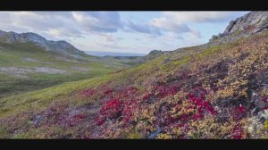 Русский Север. Часть 1я.  п-ова Средний и Рыбачий