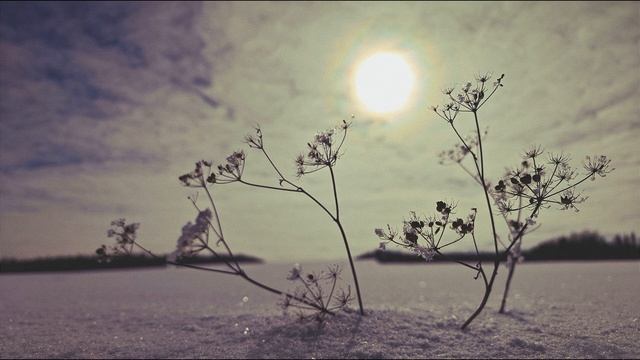 Р Рождественский  За датою  - дата #стихиожизни #поэты20века смотреть онлайн