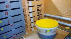 Дендробена. На ошибках учатся...