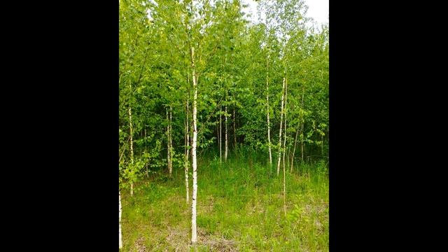 В  Жуковский  Приход весны  #стихиовесне #поэты19века