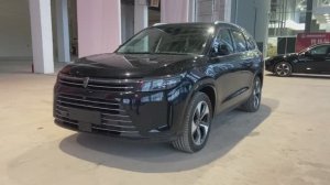 Видео обзор AITO M7 1.5 AT. Черная на чёрном.