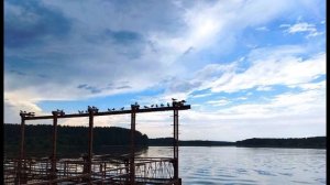 А  Вознесенский  У озера #философскаялирика #поэты20века