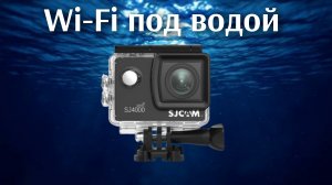 Красота подводного мира. Часть 3