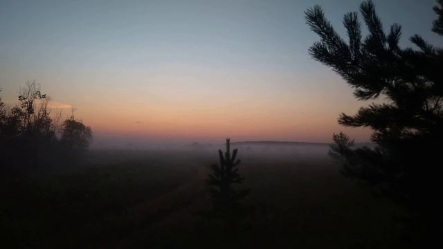 Юнна Мориц  Я вас люблю, как любят всё, что мимо #современнаяпоэзия #стихиовойне