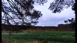 В Шекспир .  Сонет 90  Уж если ты разлюбишь, так теперь #стихиолюбви#зарубежнаялитература